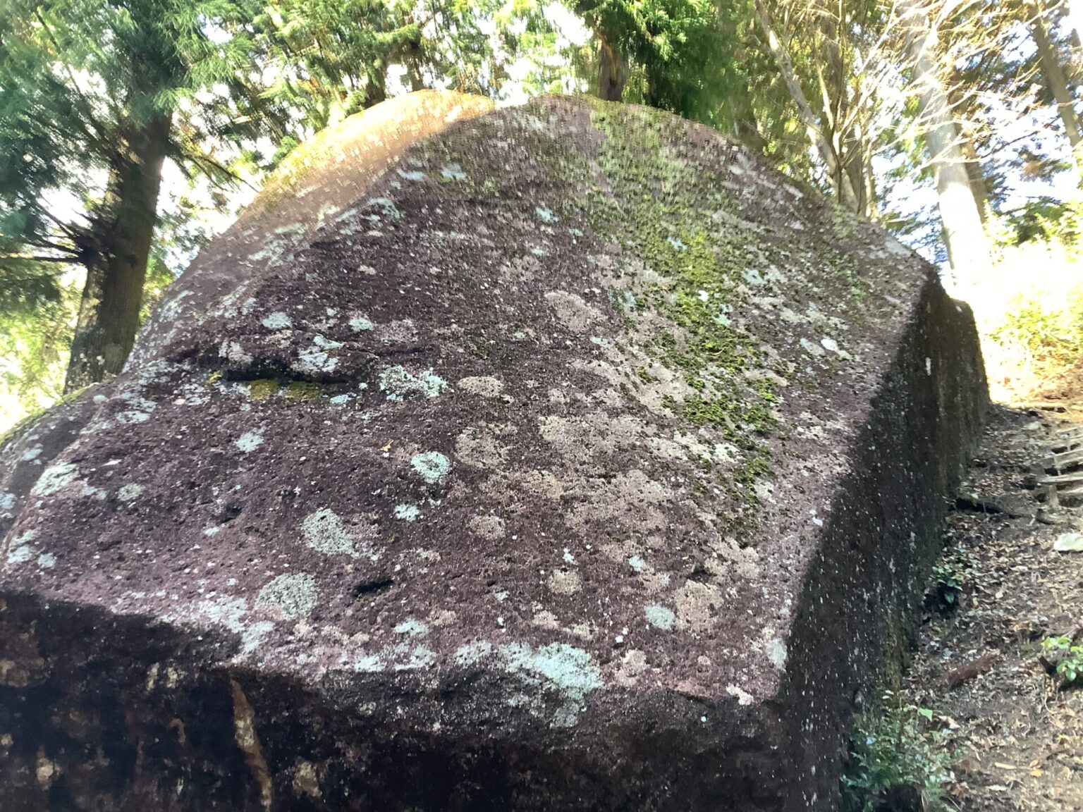 古代人が選んだ“特別な地” 金山巨石群:パワースポットとしての真価に迫る - 病魔を超えて将棋で輝く!